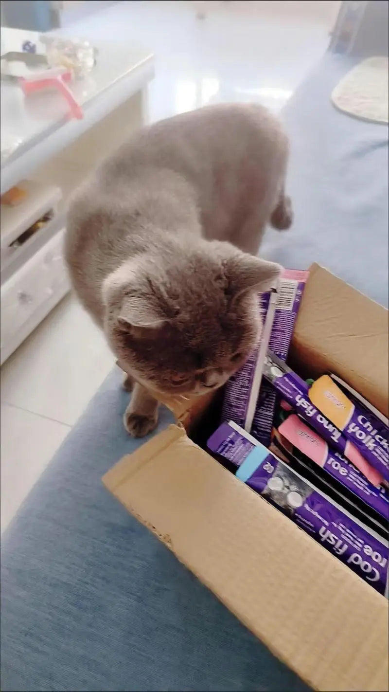 Cat Liquid Snack Strips