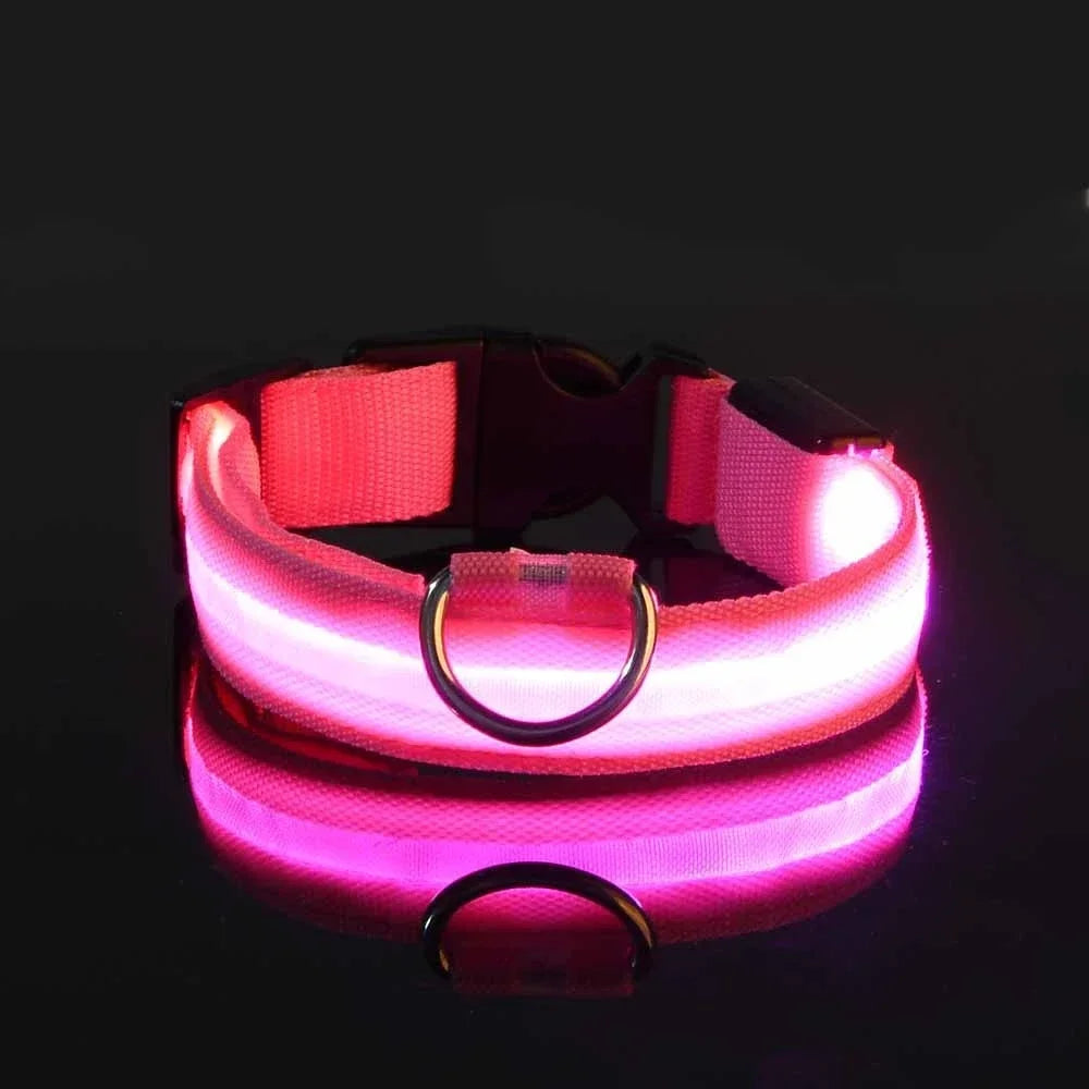 LED Glow Dog Collar | Night Safety Flashing Collar