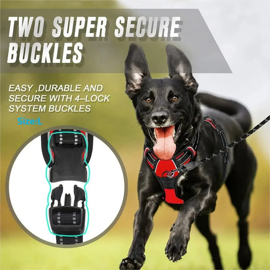 Dog Harness Vest & Collar Leash Set for Small to Large Dogs