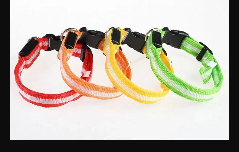 LED Glow Dog Collar | Night Safety Flashing Collar