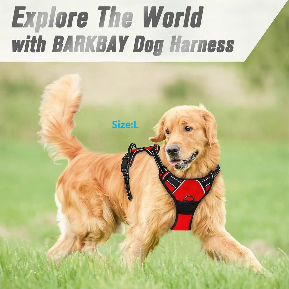 No Pull Reflective Dog Harness with Front Clip Handle