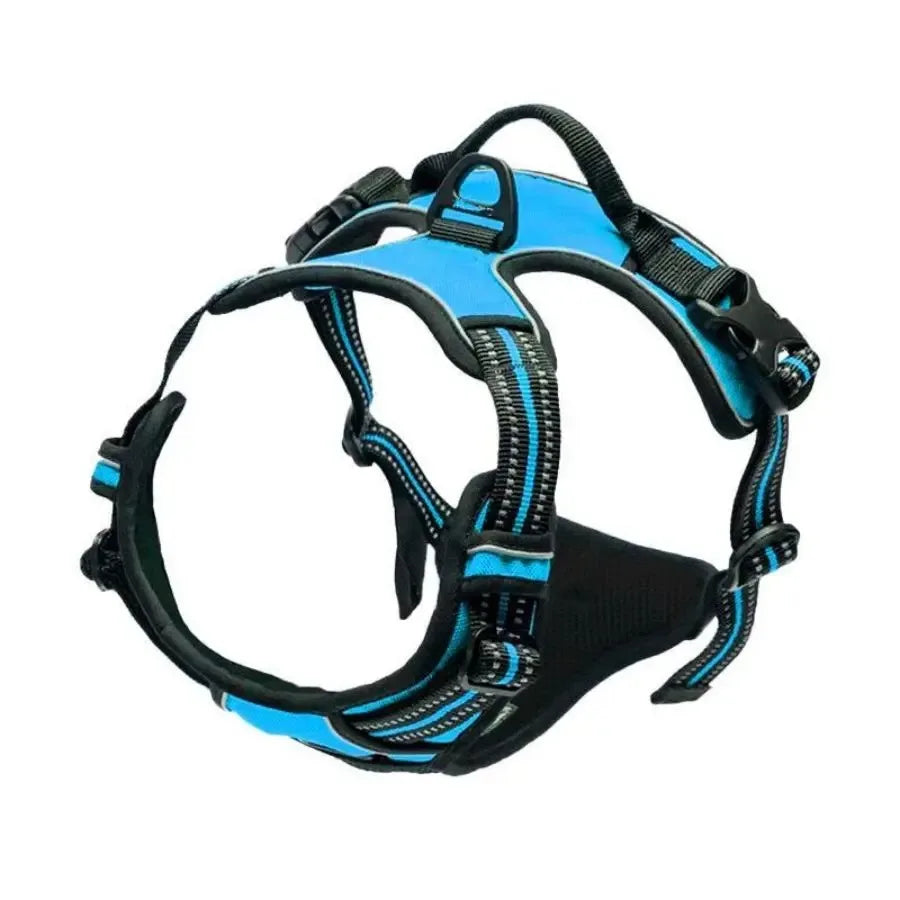 Dog Harness Vest & Collar Leash Set for Small to Large Dogs
