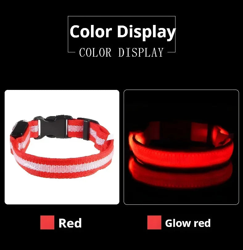 LED Glow Dog Collar | Night Safety Flashing Collar