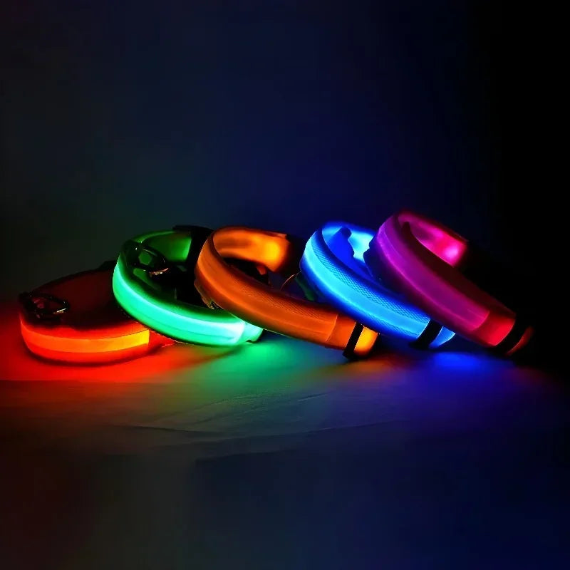 LED Glow Dog Collar | Night Safety Flashing Collar