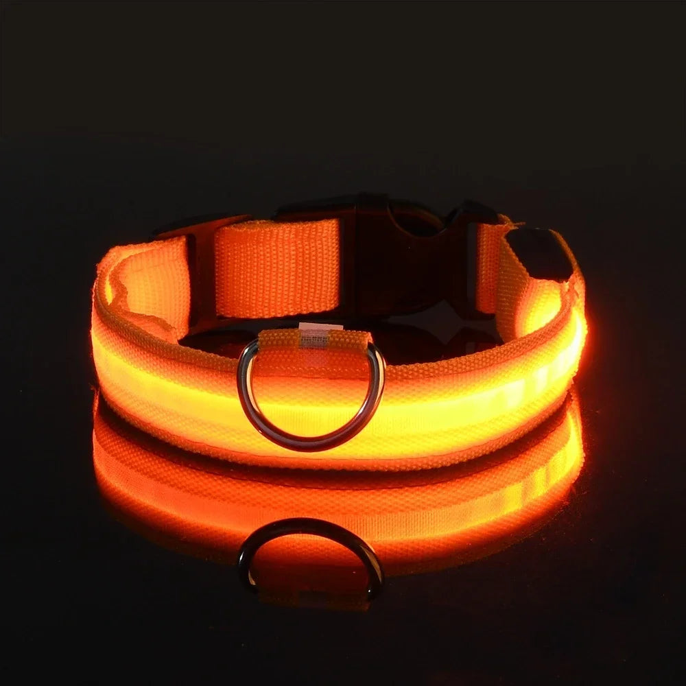 LED Glow Dog Collar | Night Safety Flashing Collar