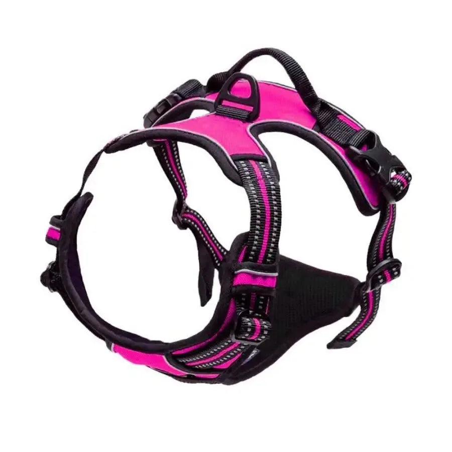 Dog Harness Vest & Collar Leash Set for Small to Large Dogs