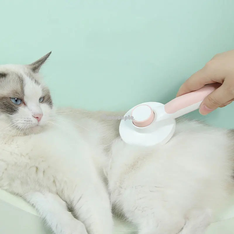 Self-Cleaning Slicker Brush for Dogs & Cats