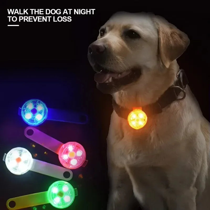 USB Rechargeable LED Safety Light Dog Collar