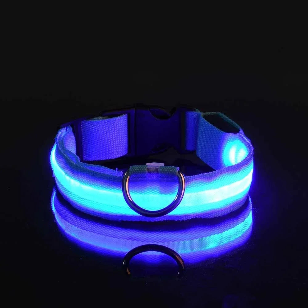 LED Glow Dog Collar | Night Safety Flashing Collar