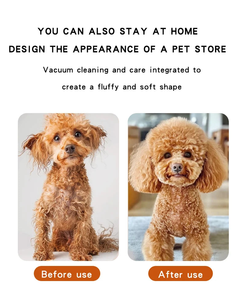 Pet Hair Dryer Brush with Cool Air Grooming Comb