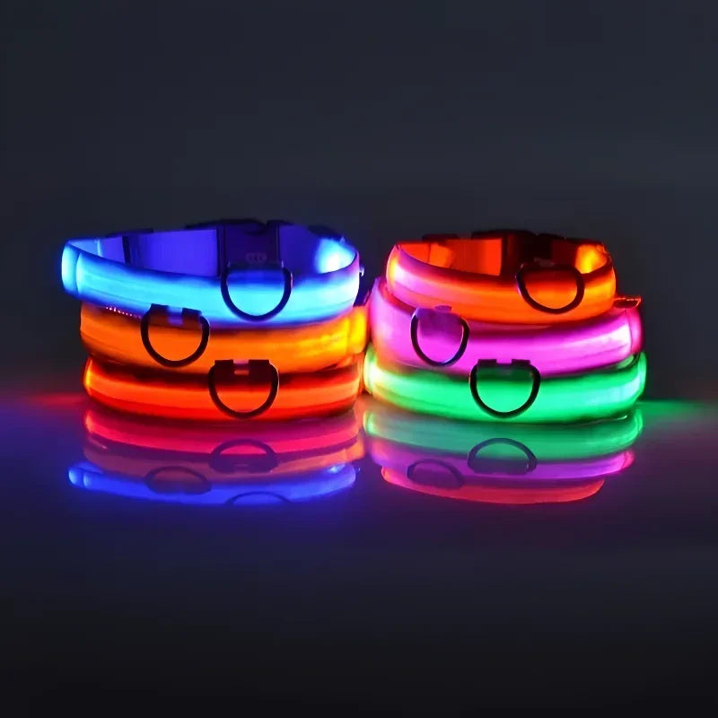 LED Glow Dog Collar | Night Safety Flashing Collar