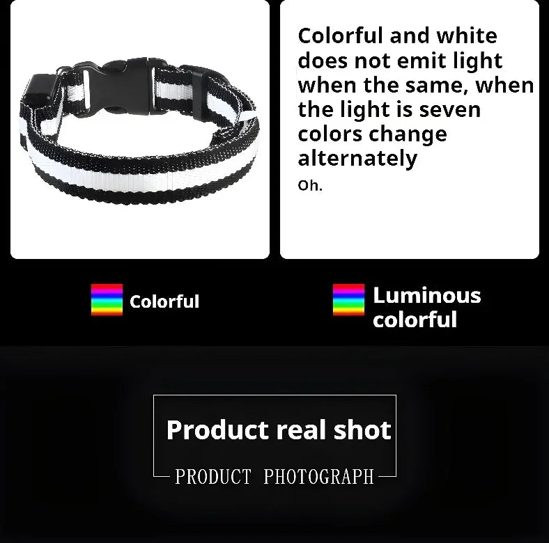 LED Glow Dog Collar | Night Safety Flashing Collar