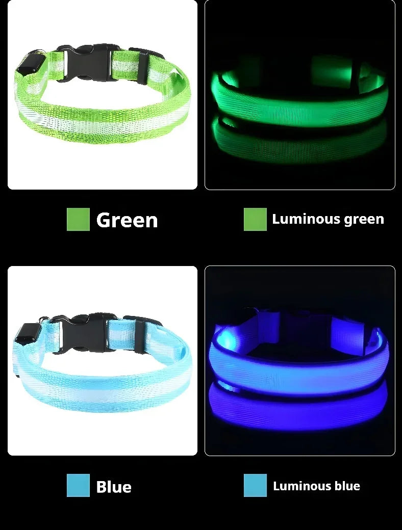 LED Glow Dog Collar | Night Safety Flashing Collar