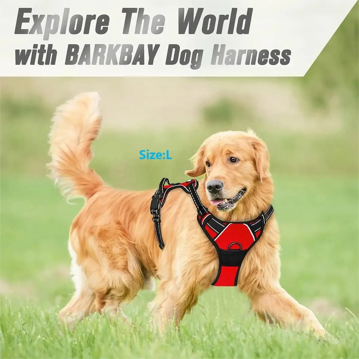 Dog Harness Vest & Collar Leash Set for Small to Large Dogs