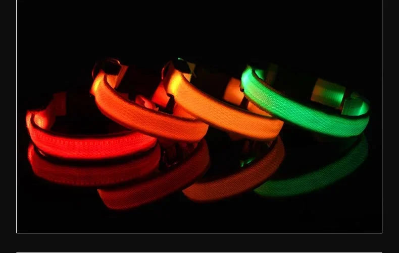 LED Glow Dog Collar | Night Safety Flashing Collar