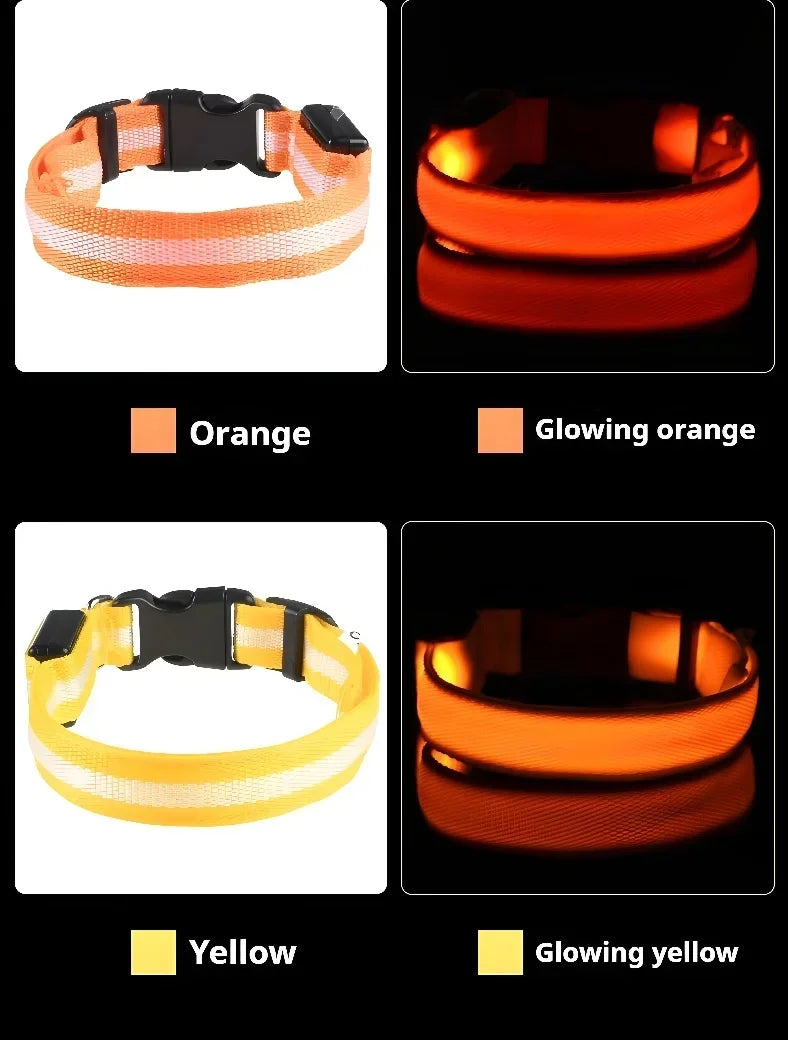 LED Glow Dog Collar | Night Safety Flashing Collar