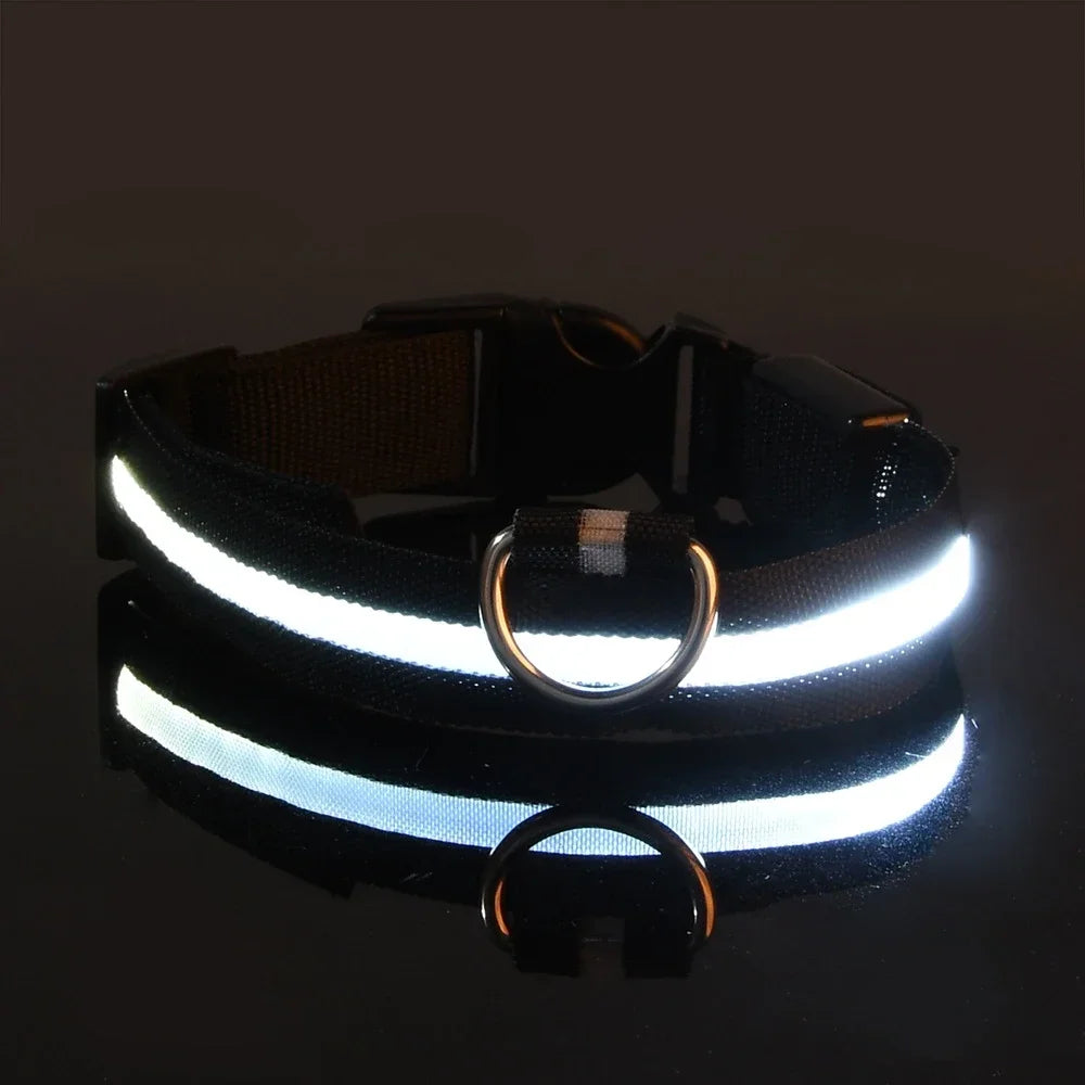 LED Glow Dog Collar | Night Safety Flashing Collar