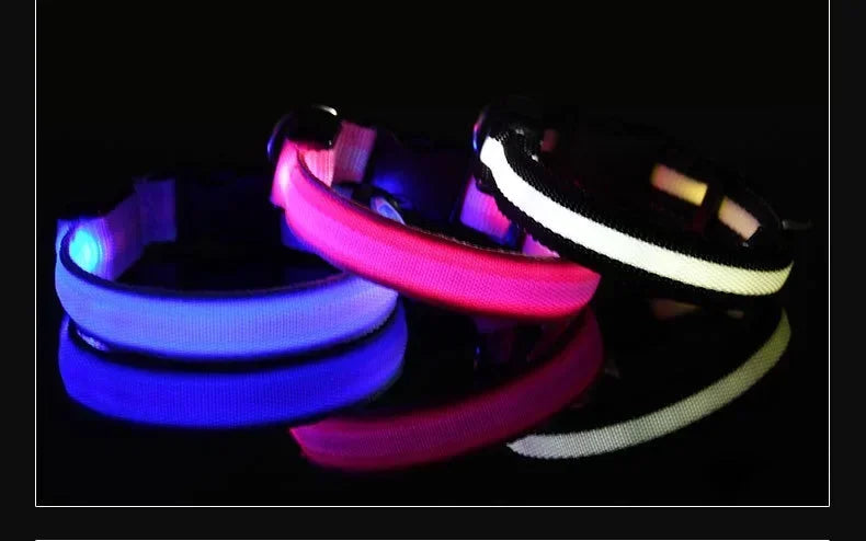 LED Glow Dog Collar | Night Safety Flashing Collar