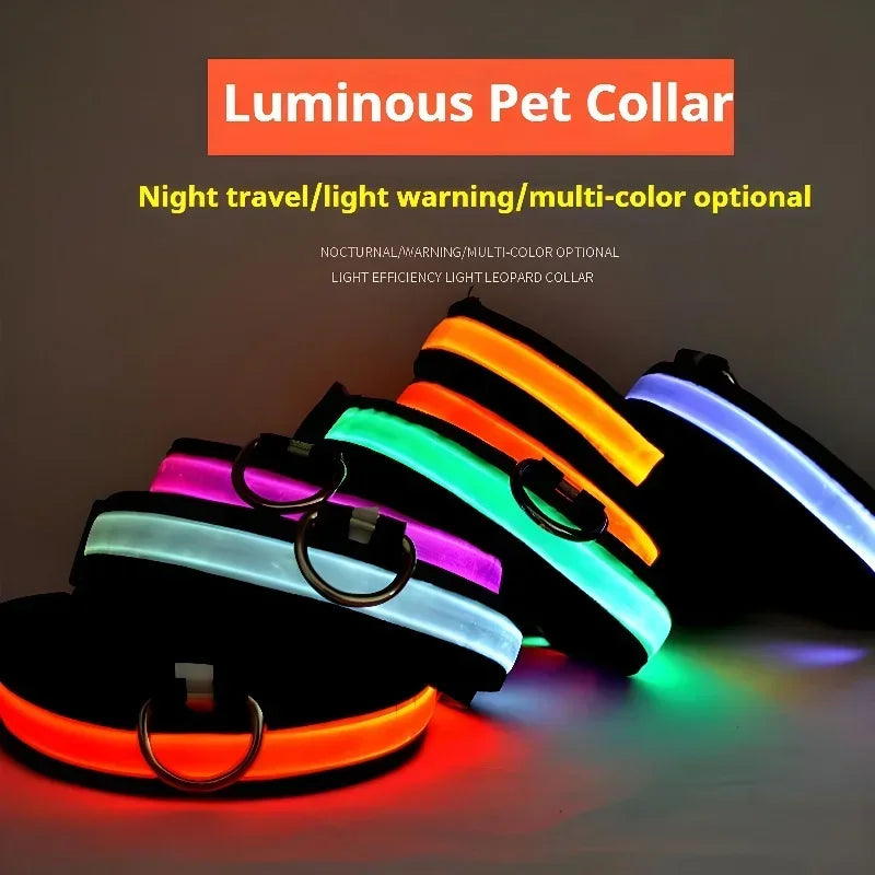 LED Glow Dog Collar | Night Safety Flashing Collar