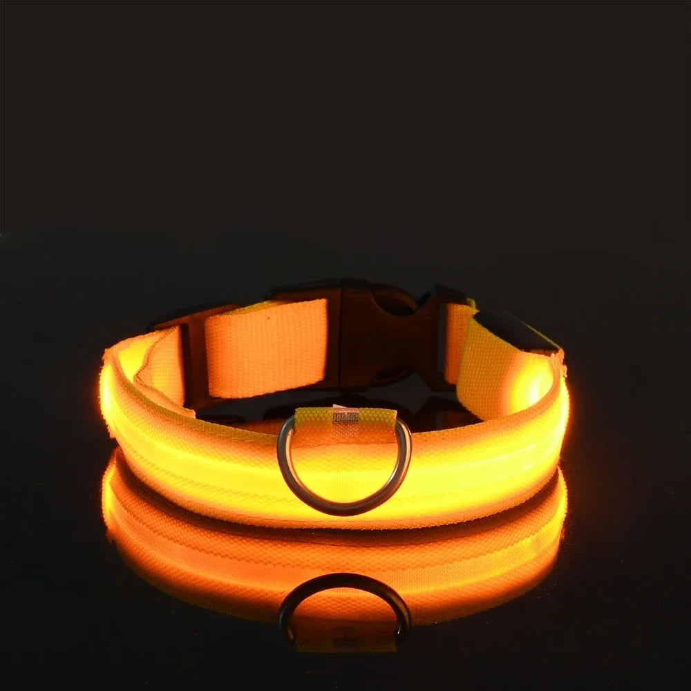 LED Glow Dog Collar | Night Safety Flashing Collar