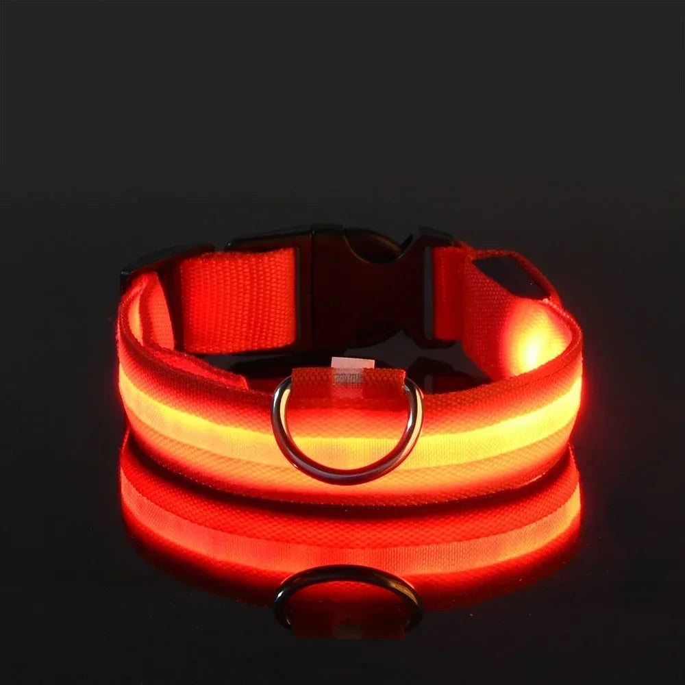 LED Glow Dog Collar | Night Safety Flashing Collar