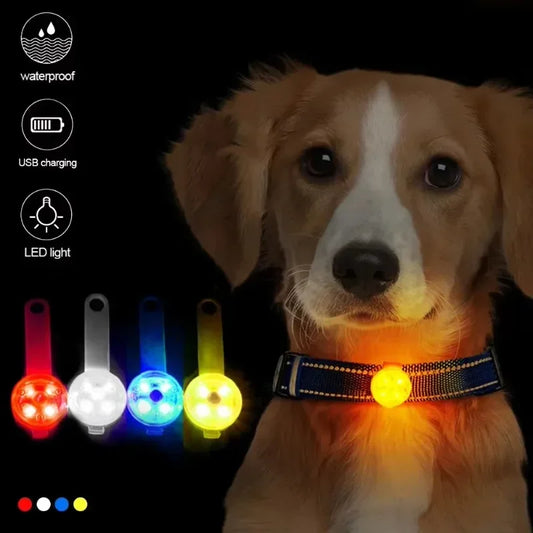 USB Rechargeable LED Safety Light Dog Collar