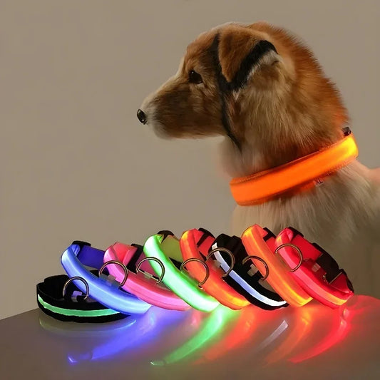 LED Glow Dog Collar | Night Safety Flashing Collar
