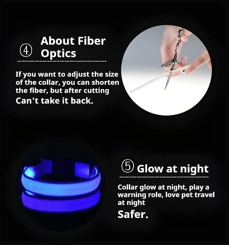 LED Glow Dog Collar | Night Safety Flashing Collar