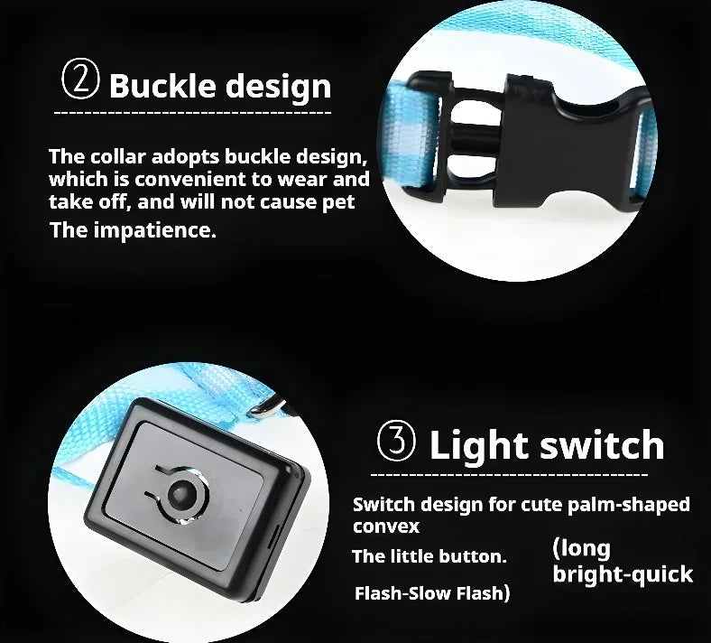 LED Glow Dog Collar | Night Safety Flashing Collar