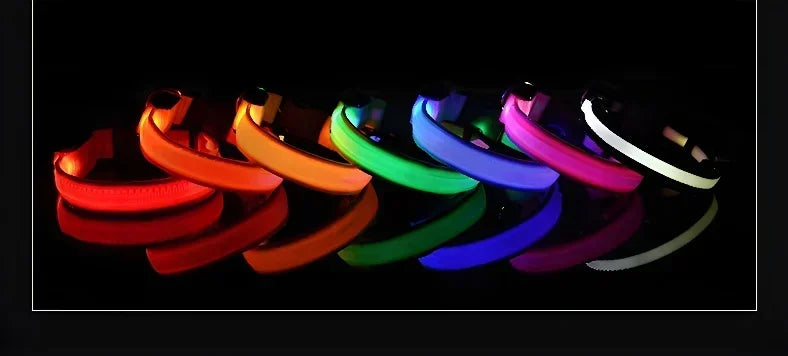 LED Glow Dog Collar | Night Safety Flashing Collar
