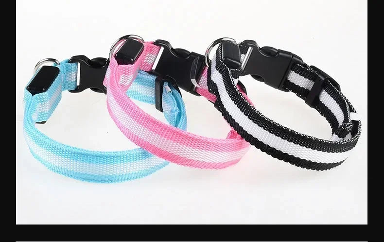 LED Glow Dog Collar | Night Safety Flashing Collar