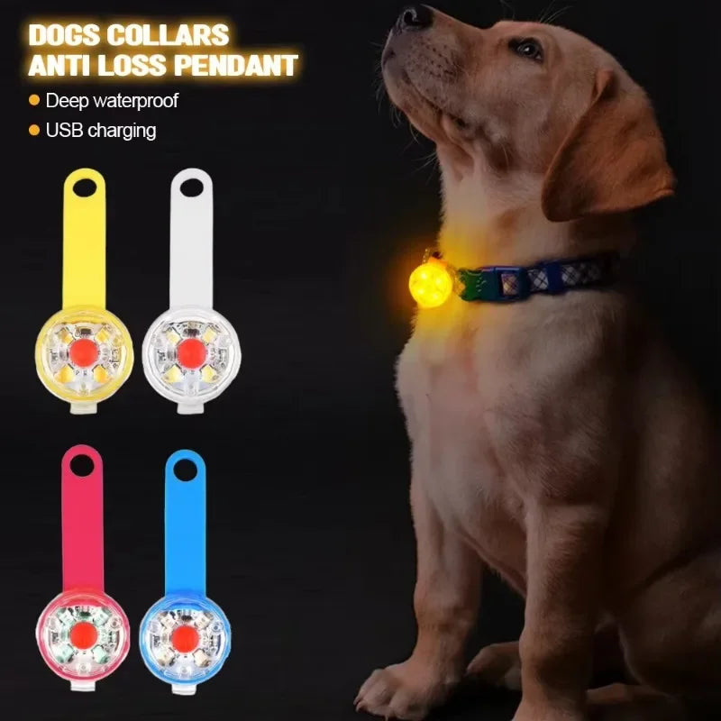 USB Rechargeable LED Safety Light Dog Collar