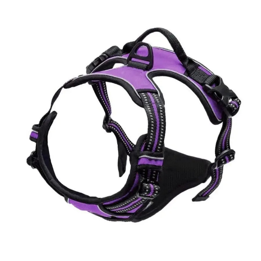 Dog Harness Vest & Collar Leash Set for Small to Large Dogs