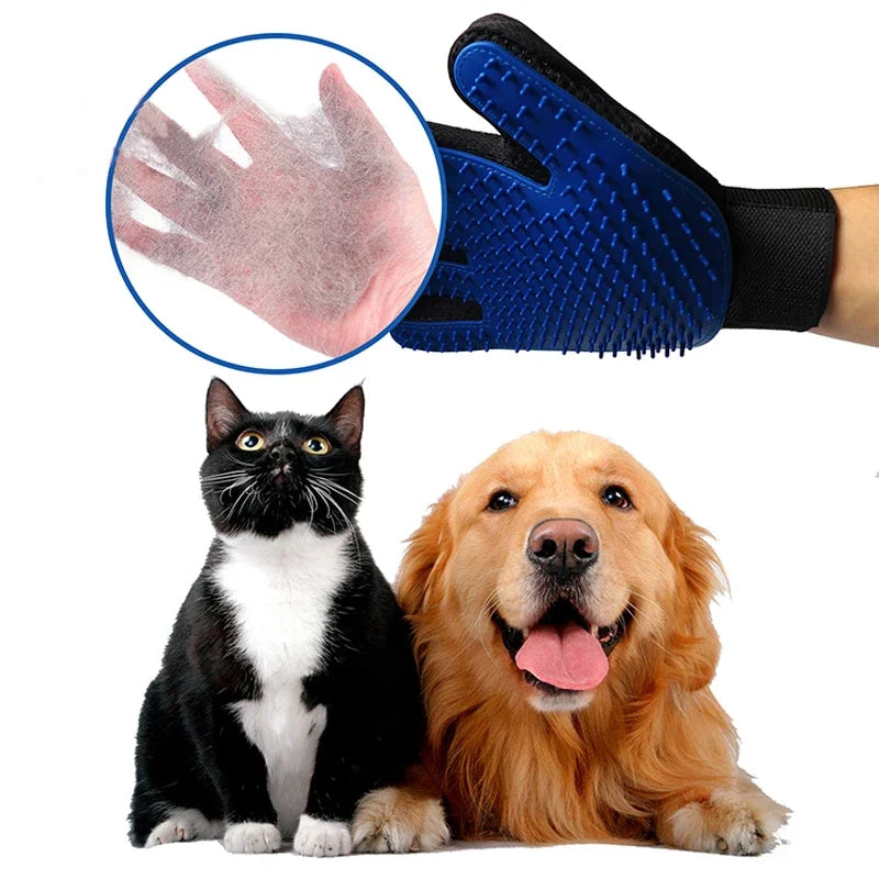 Turn Grooming Into Bonding Time