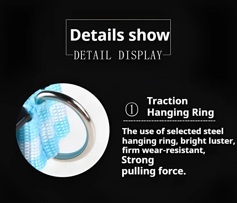 LED Glow Dog Collar | Night Safety Flashing Collar