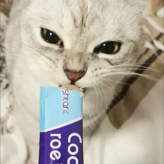 Cat Liquid Snack Strips