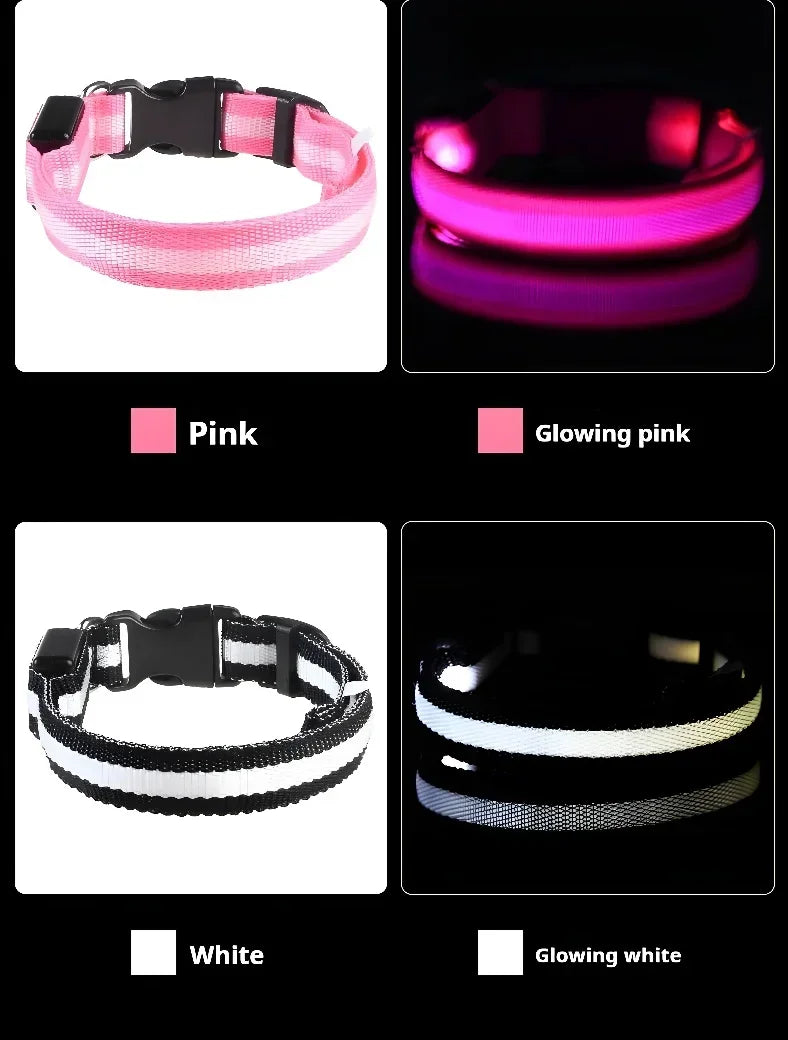 LED Glow Dog Collar | Night Safety Flashing Collar