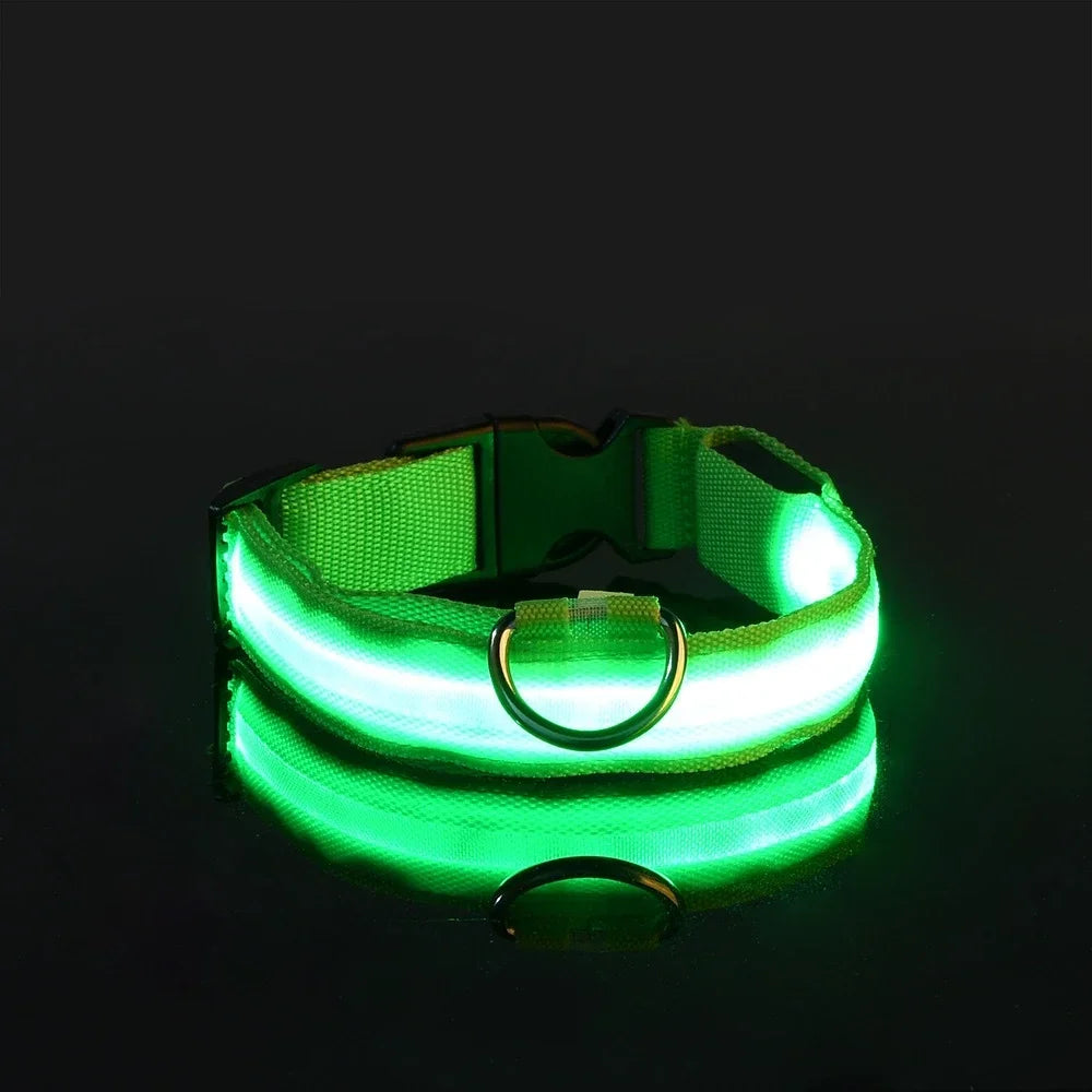 LED Glow Dog Collar | Night Safety Flashing Collar