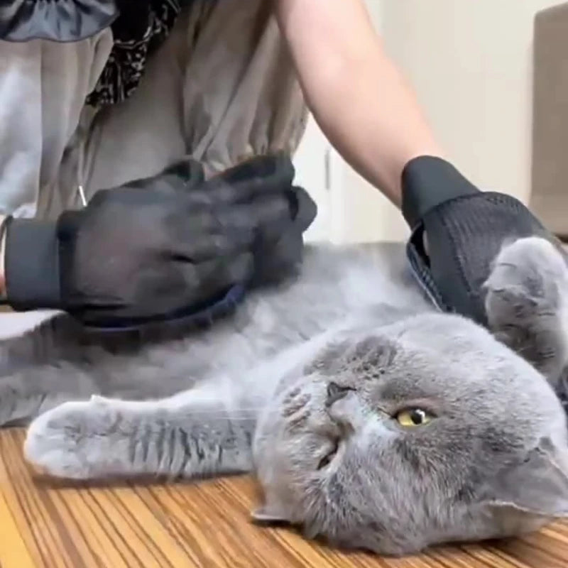 Turn Grooming Into Bonding Time