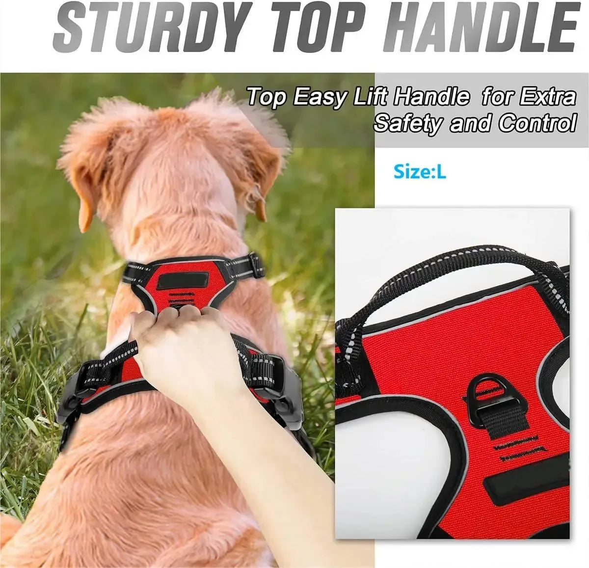 Dog Harness Vest & Collar Leash Set for Small to Large Dogs