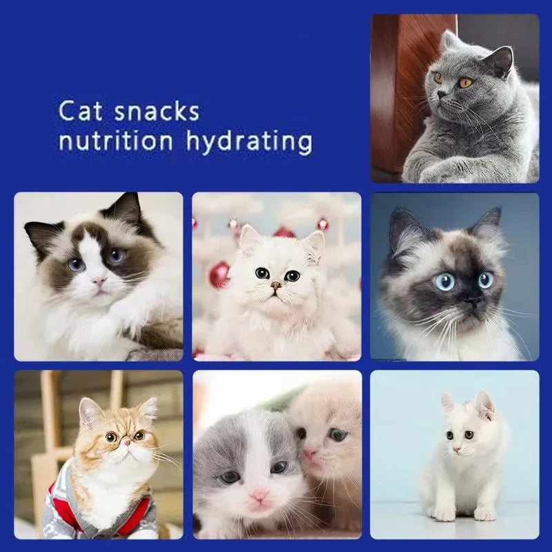 Cat Liquid Snack Strips