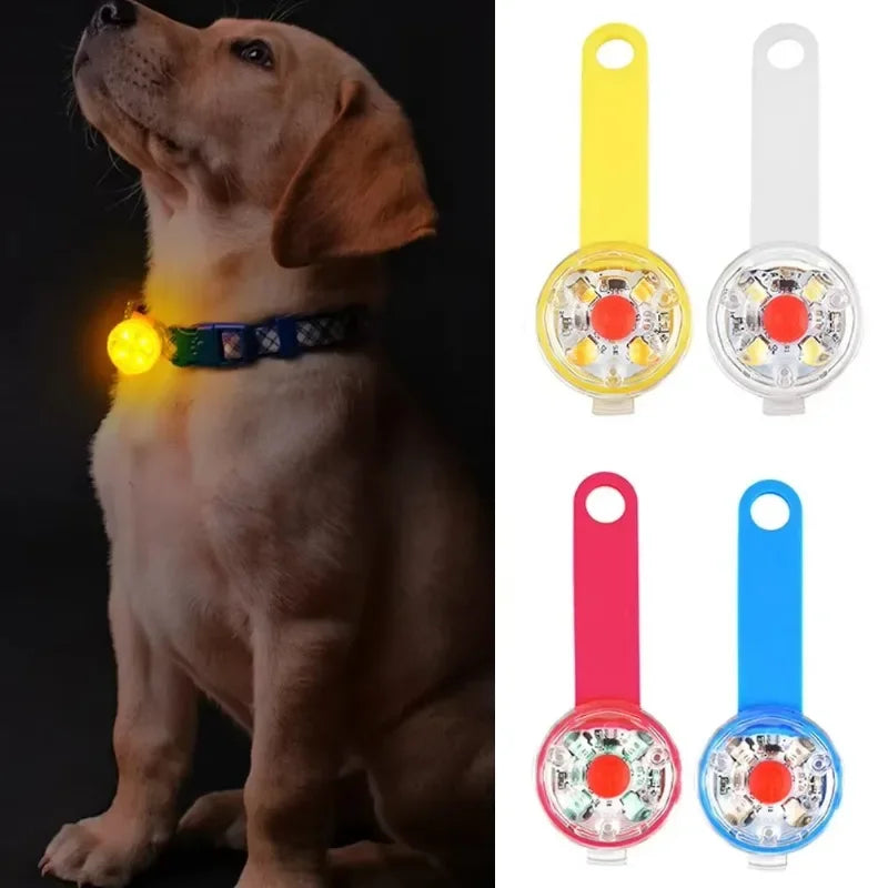 USB Rechargeable LED Safety Light Dog Collar